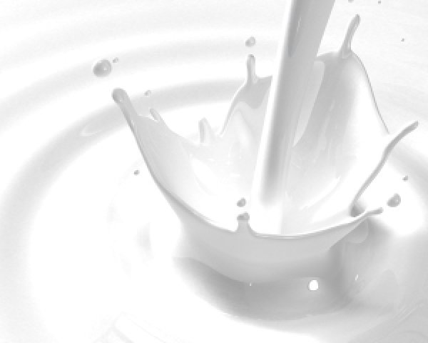 Que peut-on manger en cas d’intolérance au lactose?