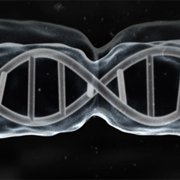 DNA, genen en chromosomen