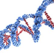 Diagnose van chronische myeloïde leukemie (CML)