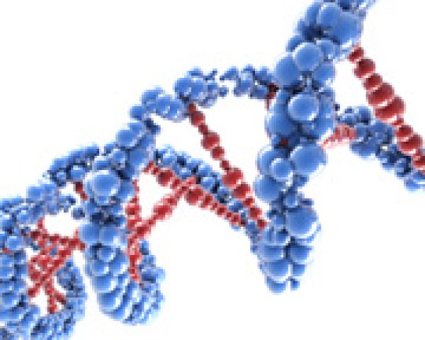 Diagnose van chronische myeloïde leukemie (CML)