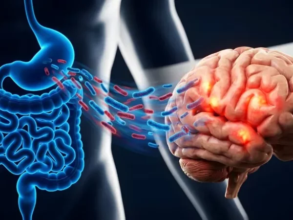ADHD: ook de darm komt mee op consultatie