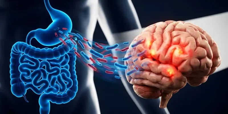 ADHD: ook de darm komt mee op consultatie