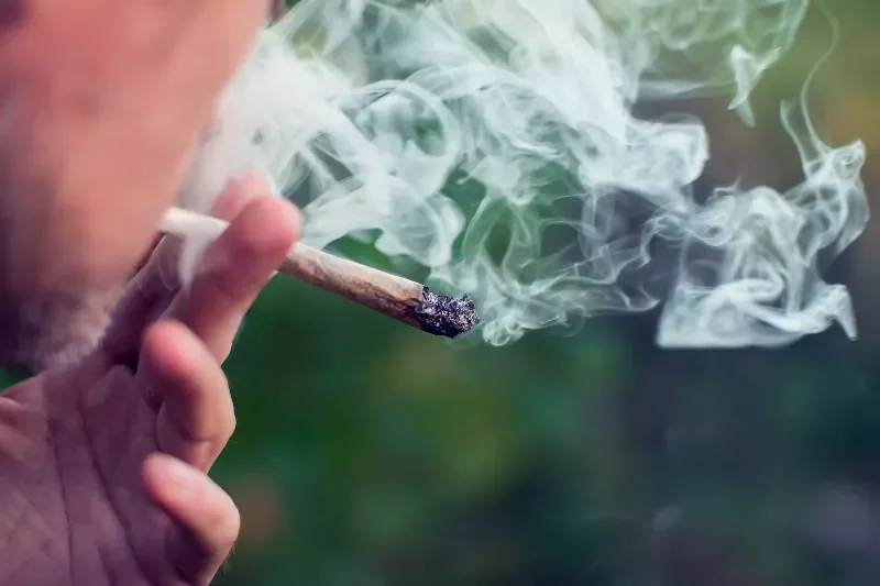 Le cannabis quadruple le risque de diabète de type 2
