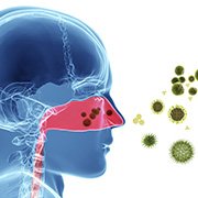 Quelles sont les causes possibles de la sinusite?