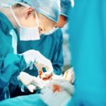 Chirurgie: la neurotomie
