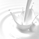 Que peut-on manger en cas d’intolérance au lactose?