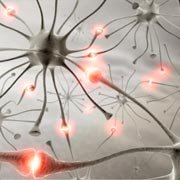 Hoe evolueert de ziekte van Alzheimer?