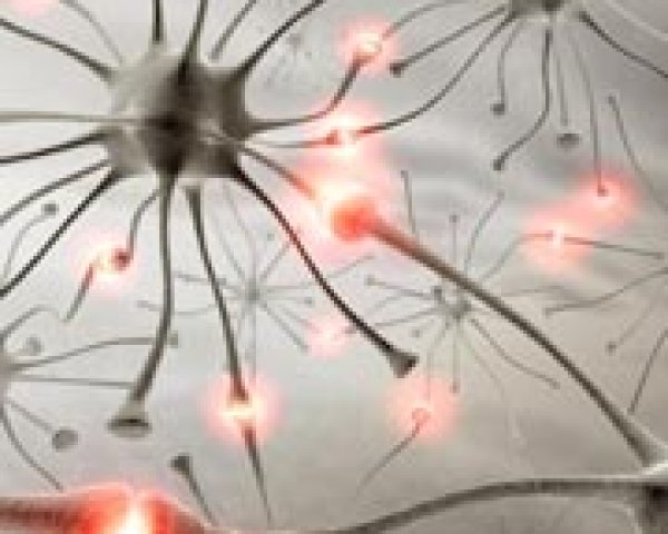 Hoe evolueert de ziekte van Alzheimer?