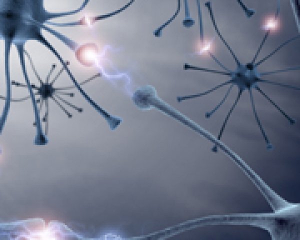 Maladie de Parkinson: causée par un déficit en dopamine