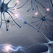 Maladie de Parkinson: causée par un déficit en dopamine