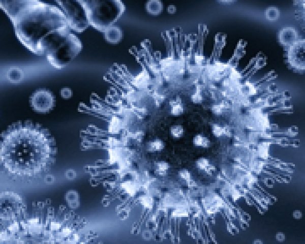 Angine: virus ou bactérie?
