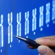 La maladie de Parkinson est-elle liée à la génétique?