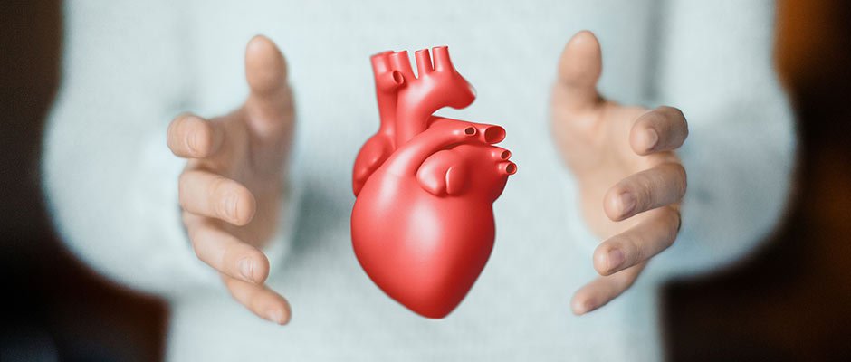 Maladies cardiovasculaires: l’influence du cholestérol LDL