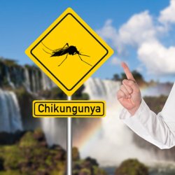 \- Wat is chikungunya?
