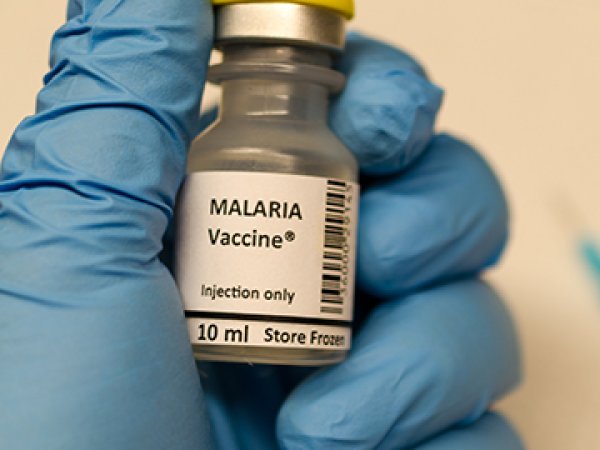 Binnenkort een eerste vaccin tegen malaria?