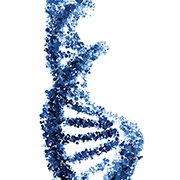 Genetische mutaties bij basaalcelcarcinoom