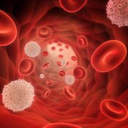 Myélodysplasie et cellules sanguines