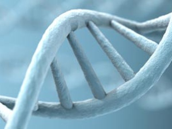 Alzheimer: deux nouveaux gènes identifiés