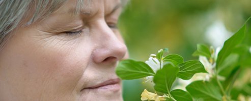 Parkinson: quand le patient perd l'odorat