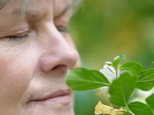 Parkinson: quand le patient perd l'odorat