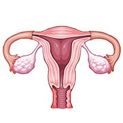 Les principales causes d’infertilité d’origine féminine