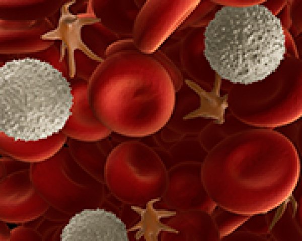 Wat zijn bloedplaatjes en wat is hun rol?