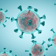 Wat is een coronavirus?