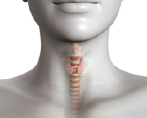 Scintigraphie de la thyroïde