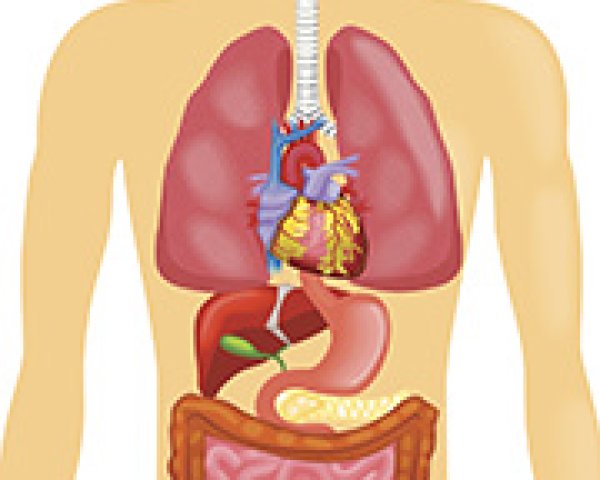 SHUa: des symptômes touchant la quasi-totalité des organes