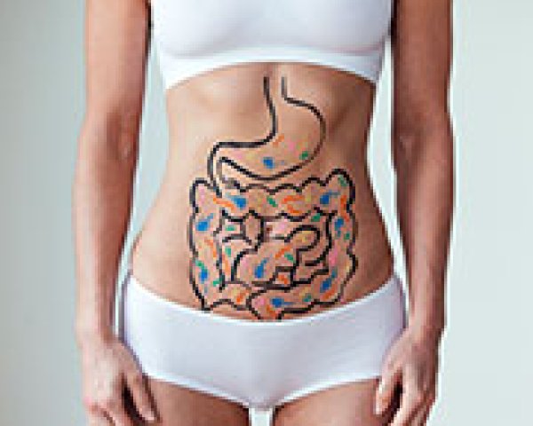 Comment fonctionne notre système digestif ?