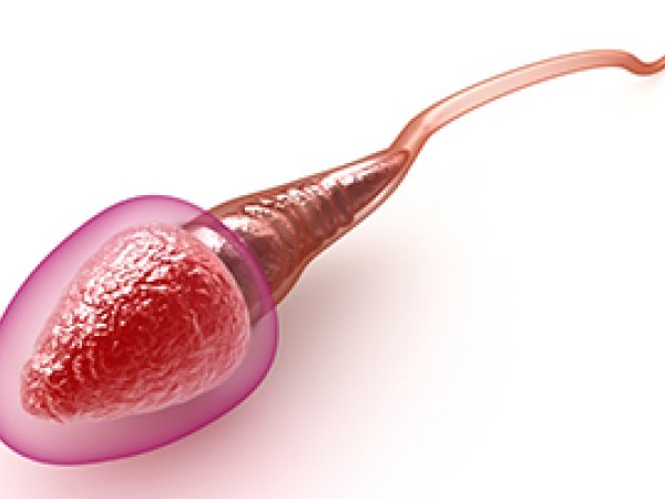 Du sang dans mon sperme: dois-je m’inquiéter?