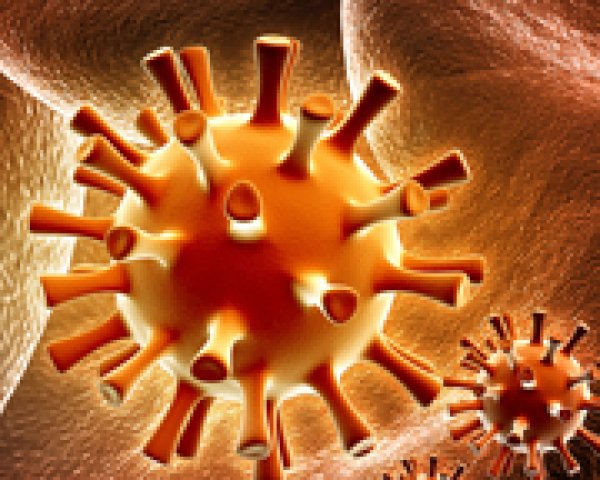 Het varicella-zoster-virus